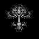 the_tree_#2 the_tree_#2