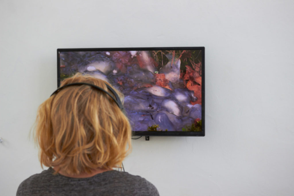 Mulldjuret – Mikael Lindahl Filmen Mulldjuret av Mikael Lindahl på Art Lab Gnesta