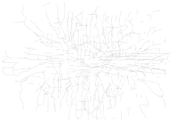 Mycelial Networks – organising through crisis